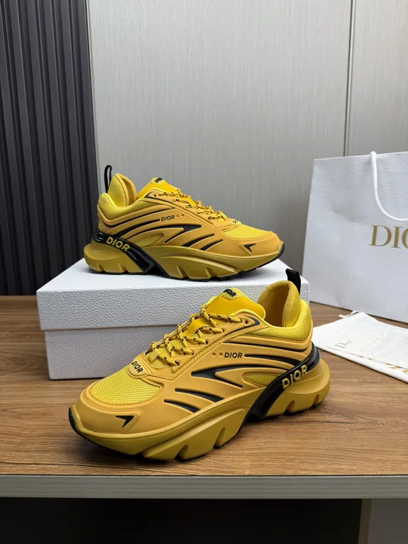 Dior Shoe 